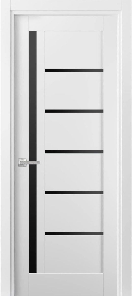 Solid Interior French Pre-Hung Door | Quadro 4588 White Silk With Black Glass | Single Regular Panel Frame Trims Handle | Bathroom Bedroom Sturdy Doors -18" X 80"-Black Glass