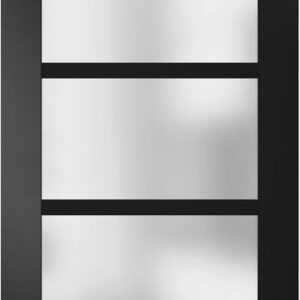 SARTODOORS Slab Barn Door Panel Frosted Glass | Quadro 4002 Black Matte | Sturdy Finished Doors | Pocket Closet Sliding-18 X 80″