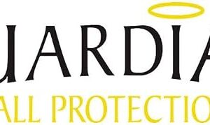 Guardian Fall Protection 15104 – Ladder Assist