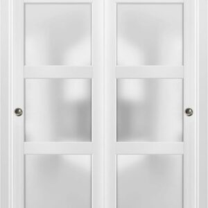 Sliding Closet Door SARTODOORS Lucia 2552 Bypass Interior Doors With Frosted Glass, Solid Wood, 36×80, White, Modern Style Hardware Included