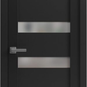 Pantry Kitchen Lite Pre-Hung Door With Hardware | Quadro 4113 Matte Black With Frosted Opaque Glass | Single Panel Frame Trims | Bathroom Bedroom Sturdy Doors -18″ X 80″