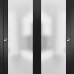 Sliding Closet Door SARTODOORS Planum 2102 Bypass Interior Doors With Frosted Glass, Solid Wood, 36×80, Black, Modern Style Hardware Included