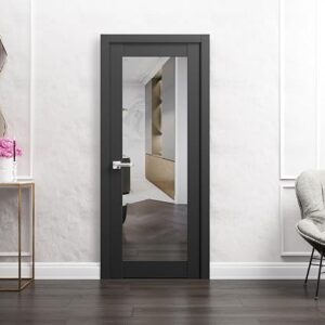 Solid Interior French 32 X 84 Inches | Lucia 1299 Matte Black With Mirror | Single Regular Panel Frame Trims Handle | Bathroom Bedroom Sturdy Doors